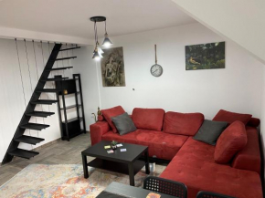 Dvosobni apartmani KopaNiK, Kopaonik (Brzece)